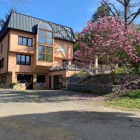 Janata Guest house Slapy (Prague-West)