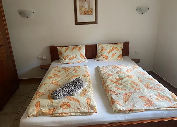 Guest house Janata 3*