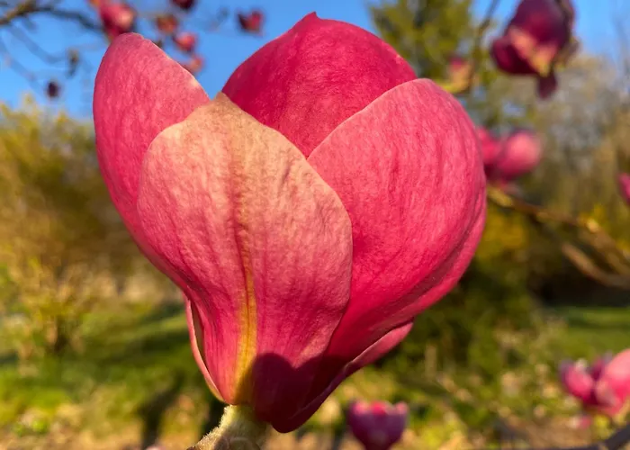 게스트하우스 Janata 3*