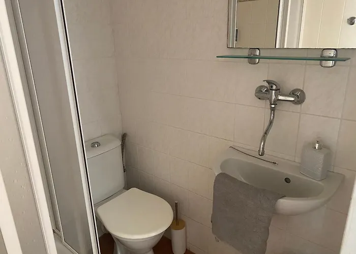 בית הארחה Janata סלאפי