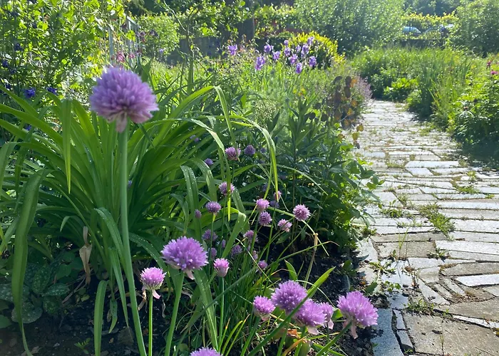 Janata 3* Slapy (Prague-West)