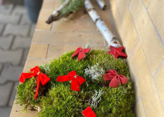 Janata בית הארחה סלאפי