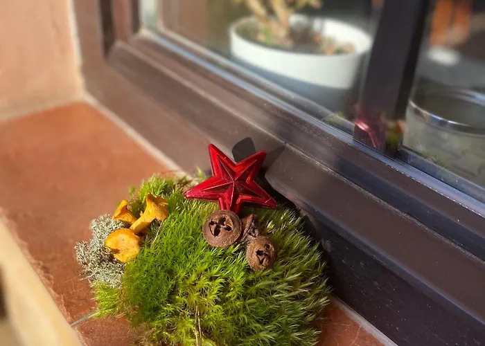 Janata בית הארחה סלאפי