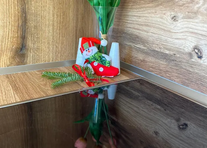 Guest house Janata 3*